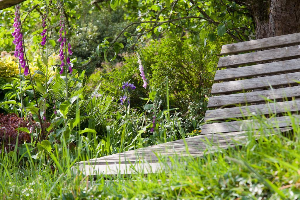 Glebe Farm B&B Kingsbridge  Ngoại thất bức ảnh